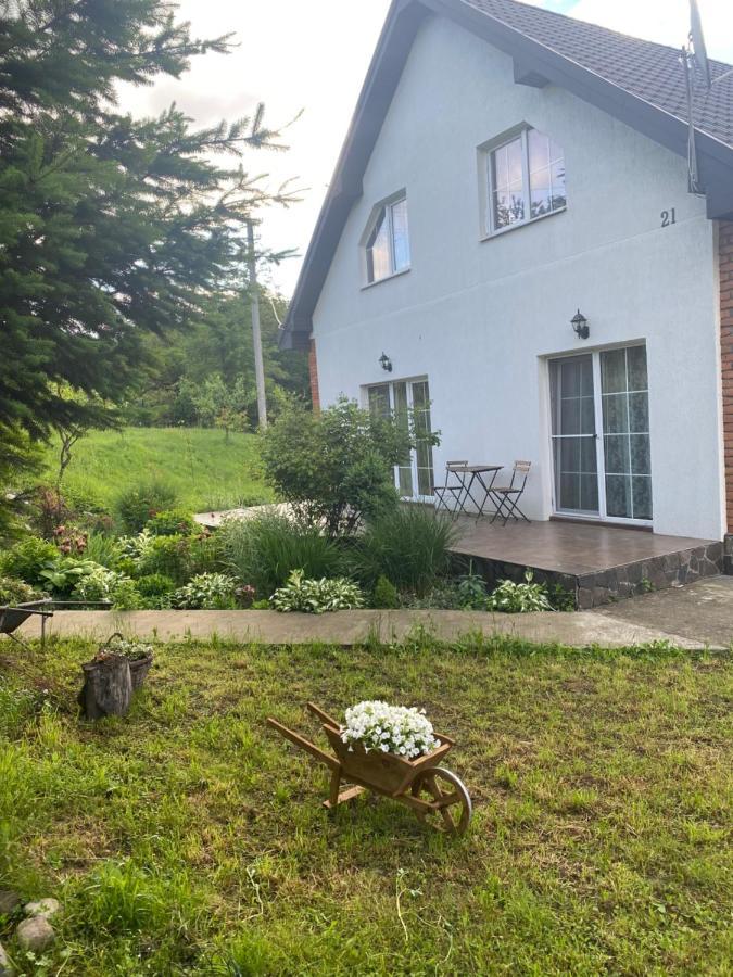 Holiday Home Usadba Novoselitsa Novoselitsa  Exterior foto